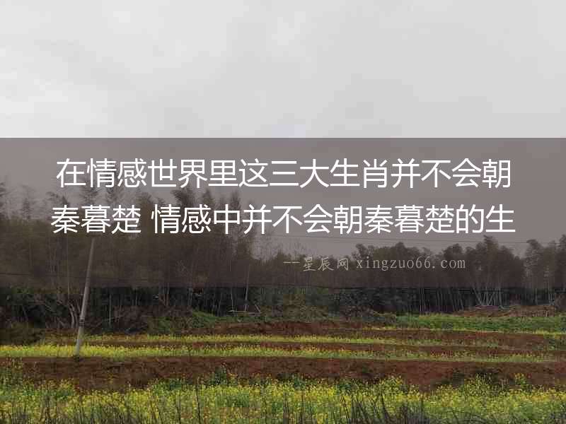 在情感世界里這三大生肖并不會朝秦暮楚 情感中并不會朝秦暮楚的生肖