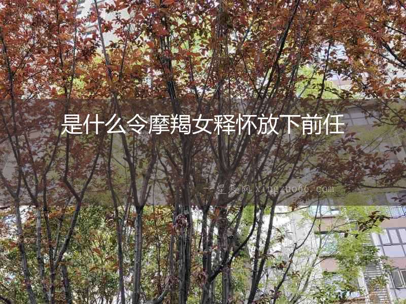 是什么令摩羯女釋懷放下前任