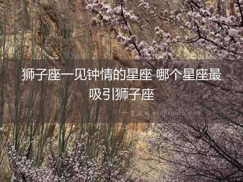 獅子座一見鐘情的星座 哪個星座最吸引獅子座