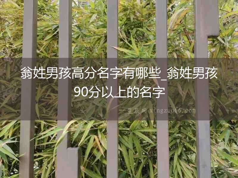 翁姓男孩高分名字有哪些_翁姓男孩90分以上的名字