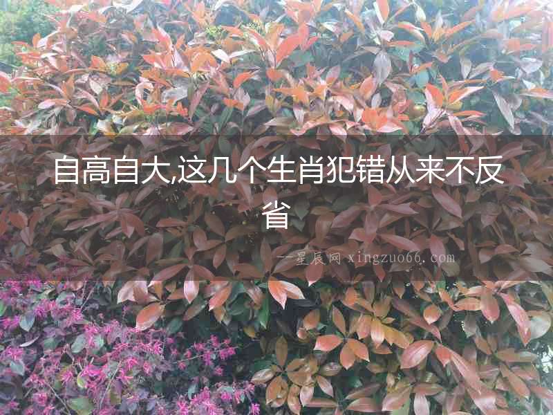 自高自大,這幾個生肖犯錯從來不反省