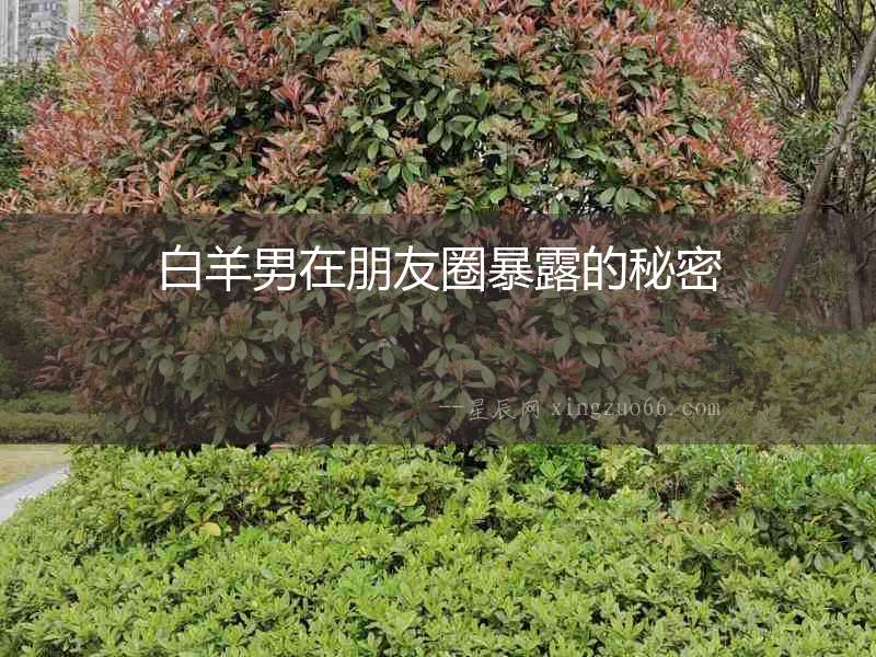 白羊男在朋友圈暴露的秘密