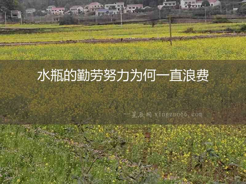 水瓶的勤勞努力為何一直浪費(fèi)
