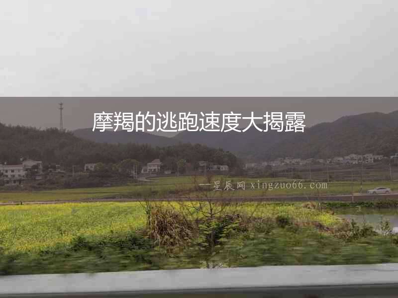 摩羯的逃跑速度大揭露