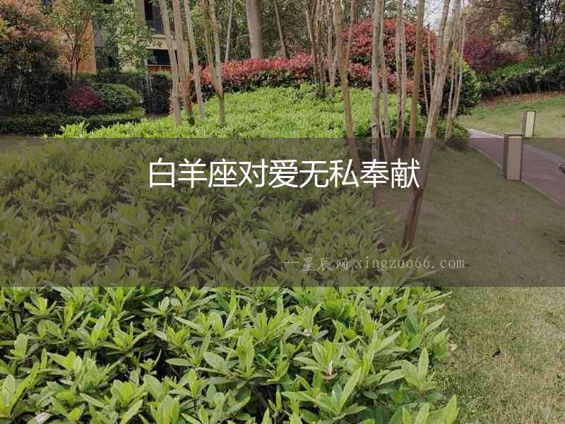 白羊座對愛無私奉獻