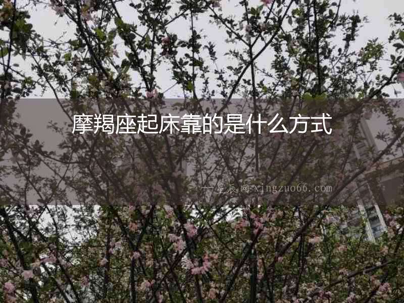 摩羯座起床靠的是什么方式