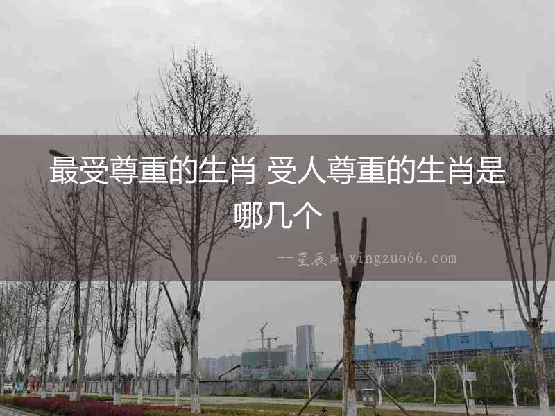 最受尊重的生肖 受人尊重的生肖是哪幾個