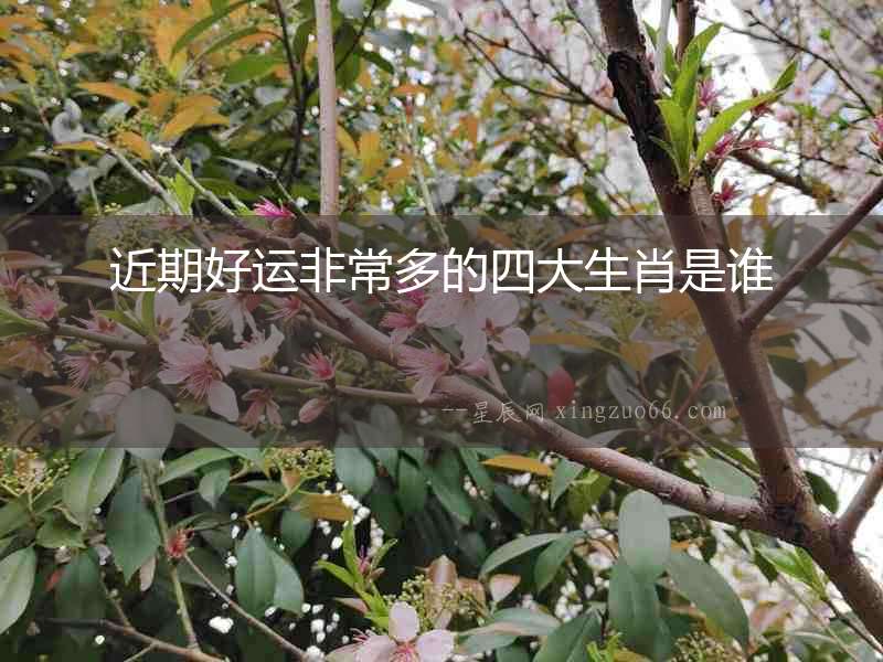 近期好運(yùn)非常多的四大生肖是誰