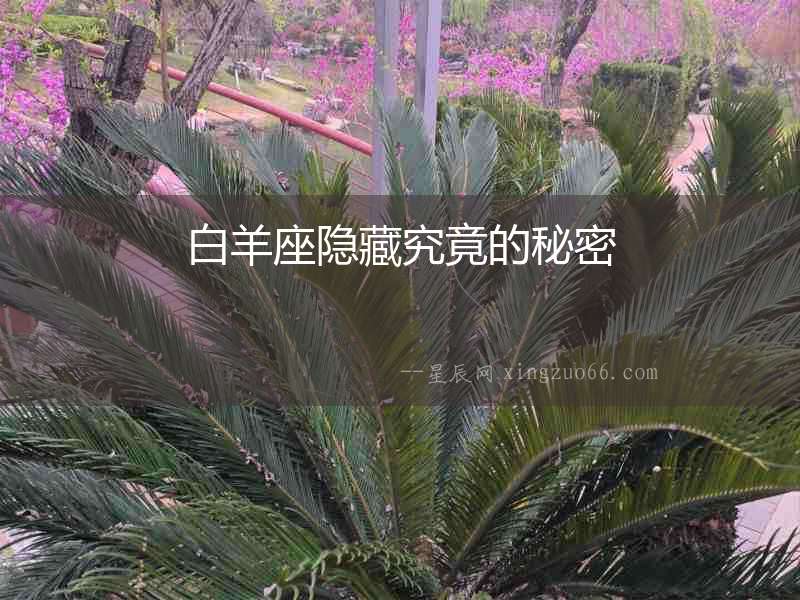 白羊座隱藏究竟的秘密