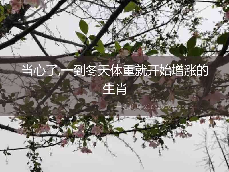 當心了,一到冬天體重就開始增漲的生肖