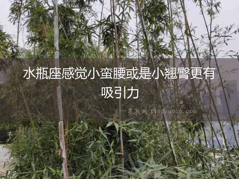 水瓶座感覺小蠻腰或是小翹臀更有吸引力