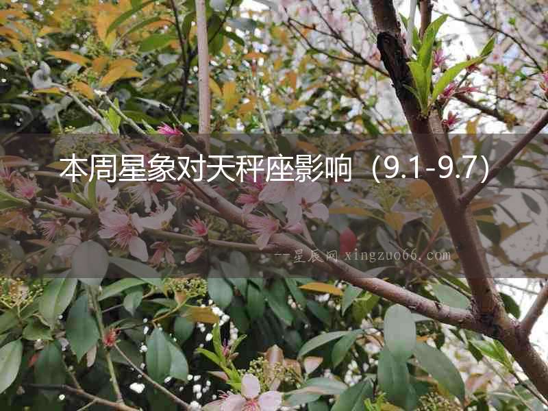 本周星象對天秤座影響（9.1-9.7）