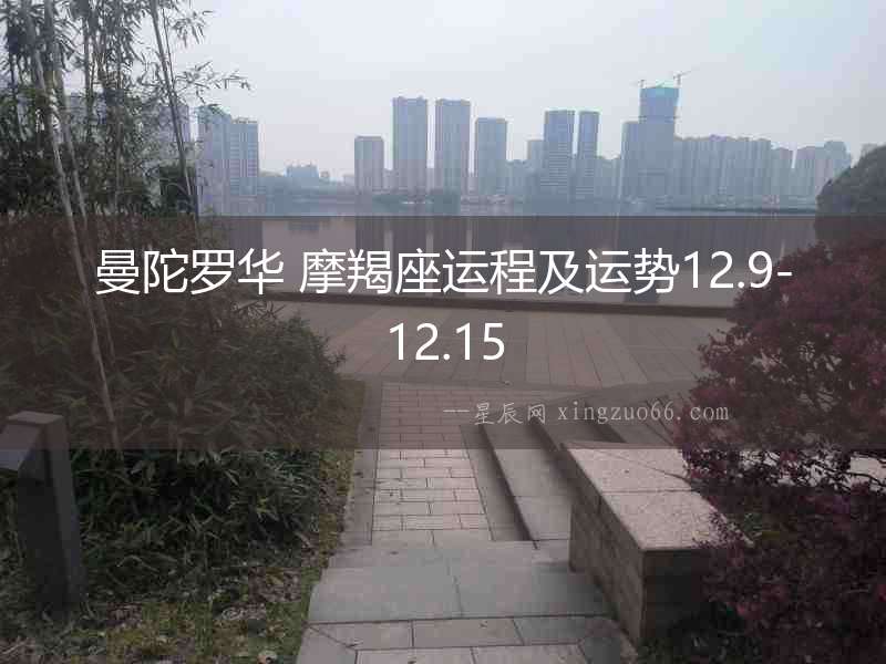 曼陀羅華 摩羯座運程及運勢12.9-12.15
