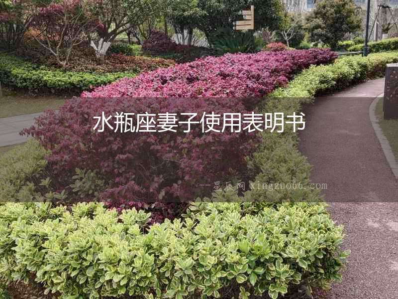 水瓶座妻子使用表明書(shū)
