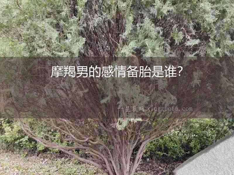 摩羯男的感情備胎是誰？