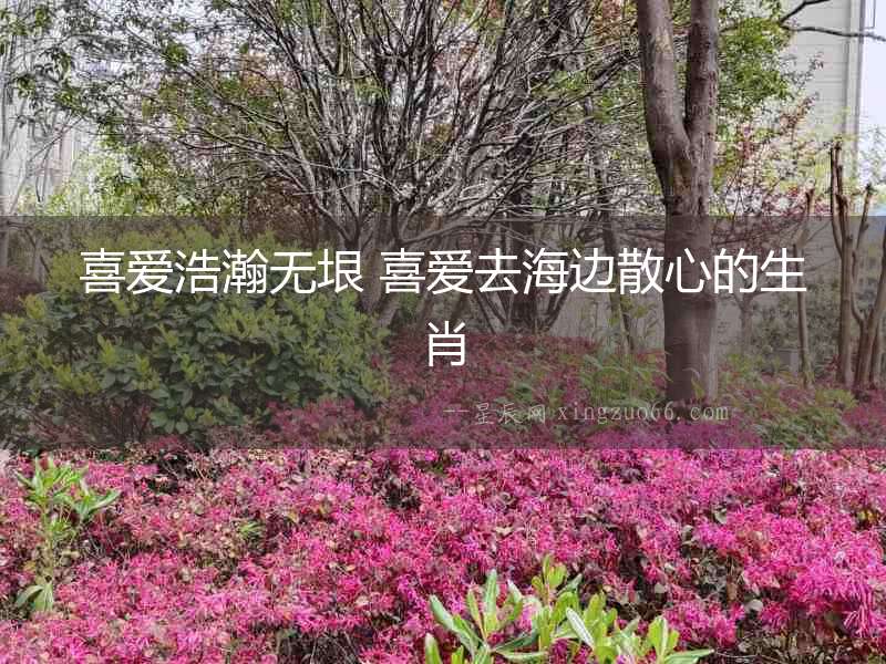 喜愛浩瀚無垠 喜愛去海邊散心的生肖