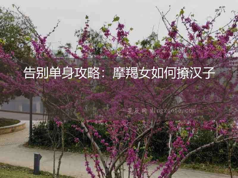 告別單身攻略：摩羯女如何撩漢子