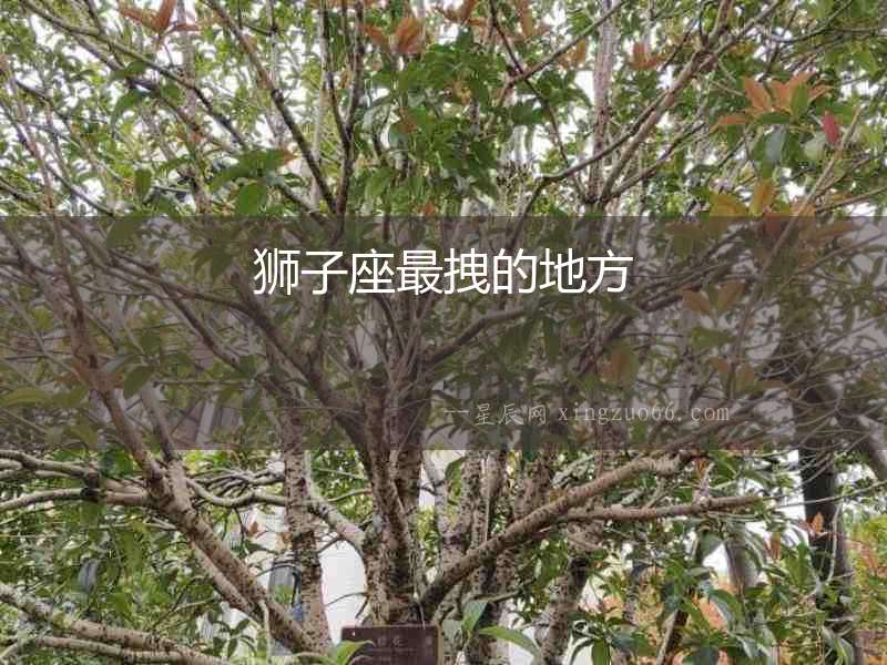 獅子座最拽的地方