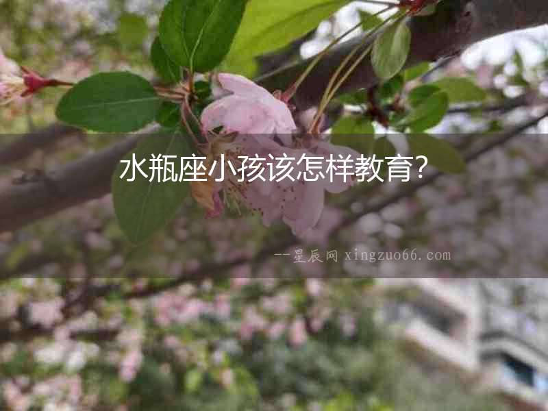 水瓶座小孩該怎樣教育？