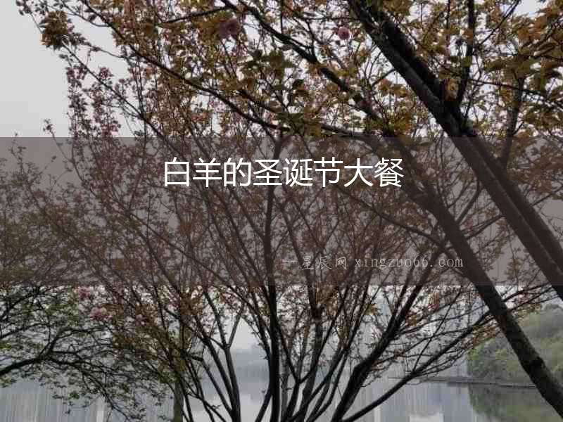 白羊的圣誕節大餐