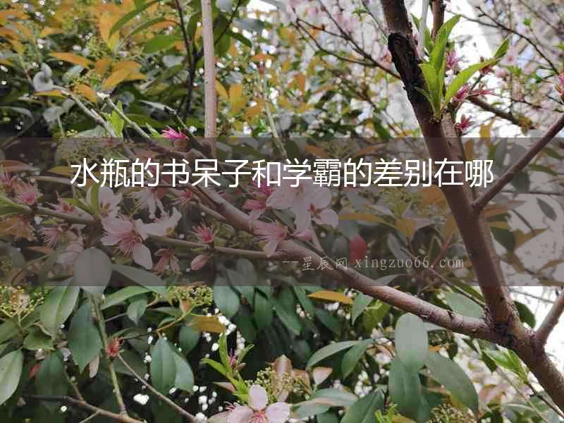水瓶的書呆子和學霸的差別在哪