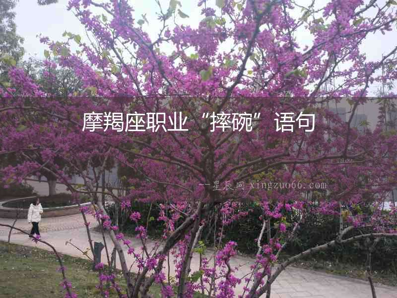 摩羯座職業(yè)“摔碗”語句