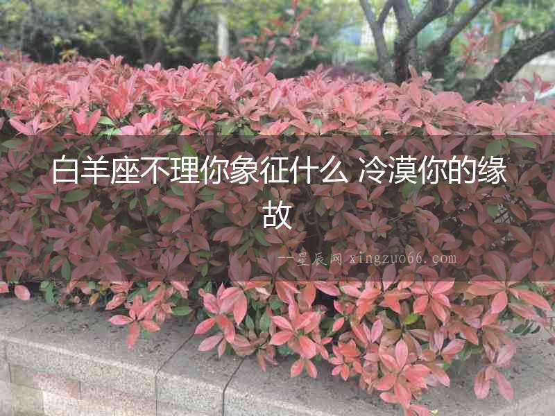 白羊座不理你象征什么 冷漠你的緣故