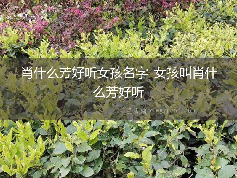 肖什么芳好聽女孩名字_女孩叫肖什么芳好聽
