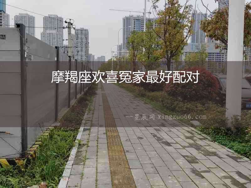 摩羯座歡喜冤家最好配對