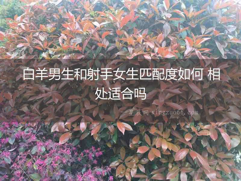 白羊男生和射手女生匹配度如何 相處適合嗎