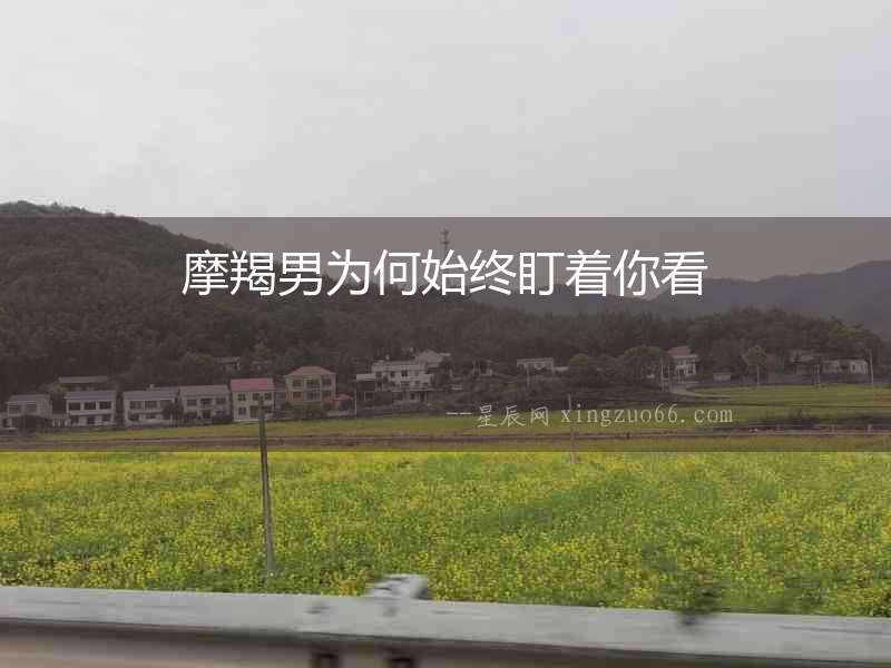 摩羯男為何始終盯著你看