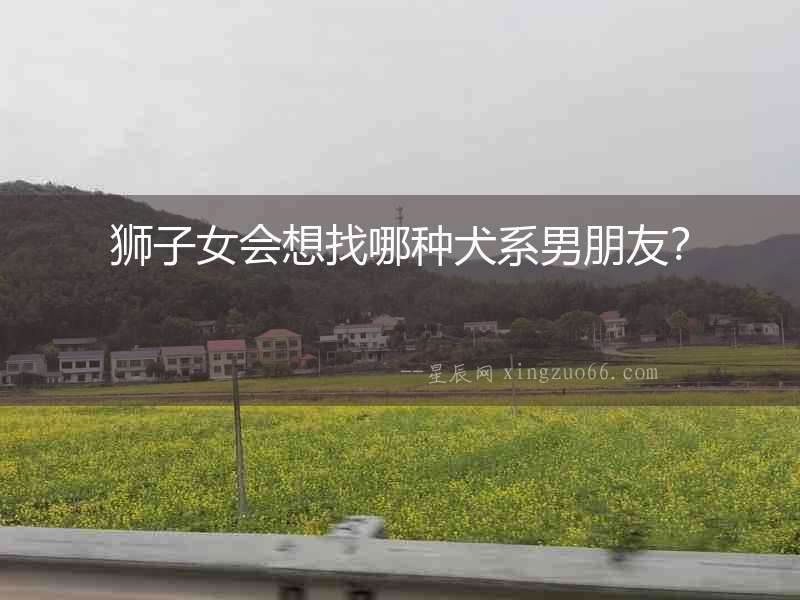 獅子女會想找哪種犬系男朋友？