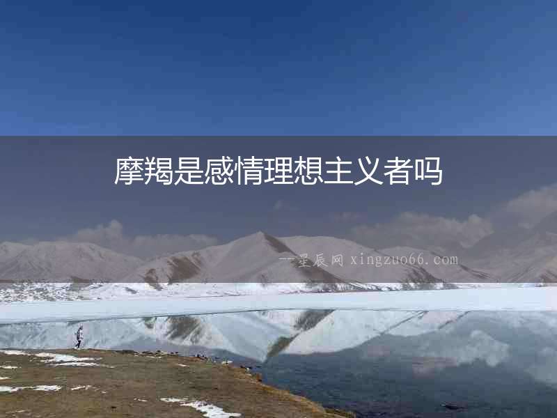 摩羯是感情理想主義者嗎