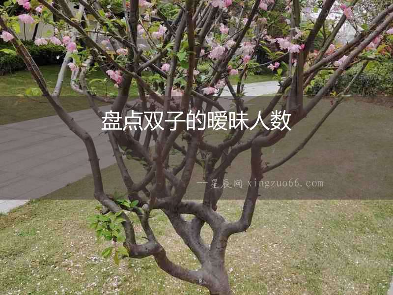 盤點雙子的曖昧人數(shù)