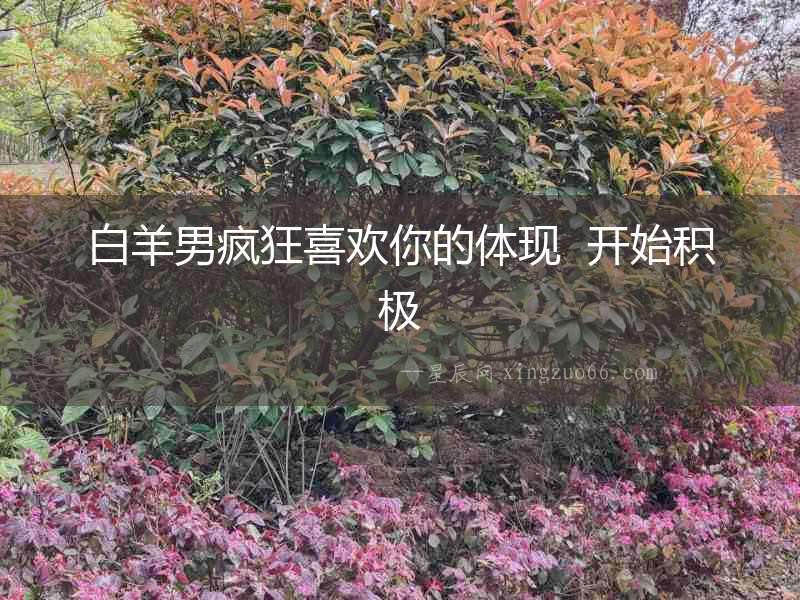 白羊男瘋狂喜歡你的體現  開始積極