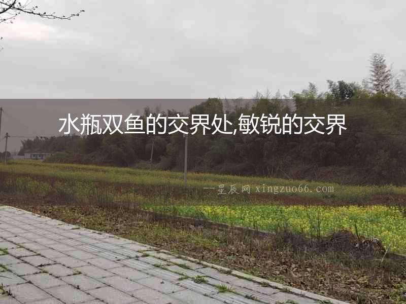 水瓶雙魚的交界處,敏銳的交界