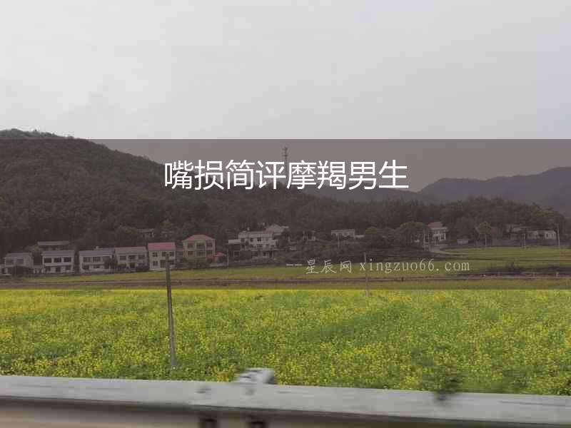 嘴損簡評摩羯男生