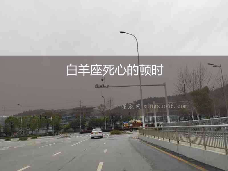 白羊座死心的頓時