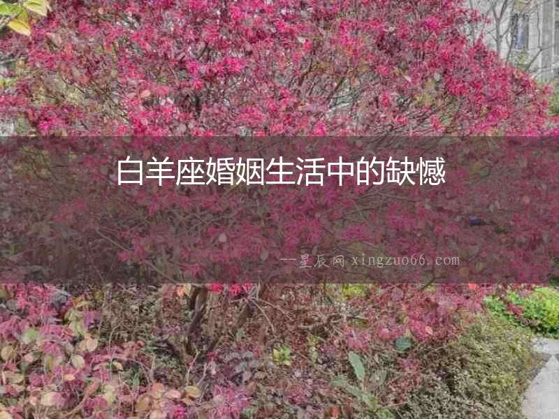 白羊座婚姻生活中的缺憾
