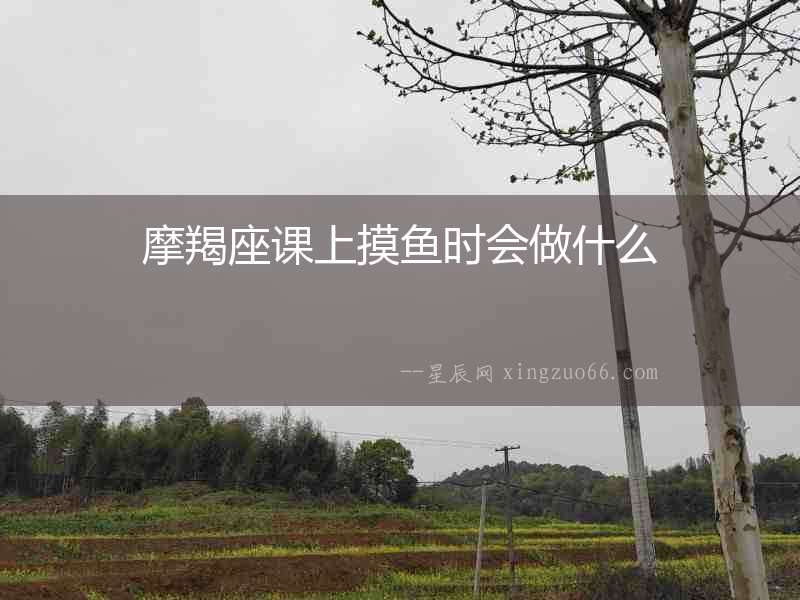 摩羯座課上摸魚時會做什么