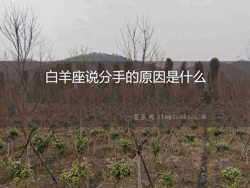 白羊座說分手的原因是什么