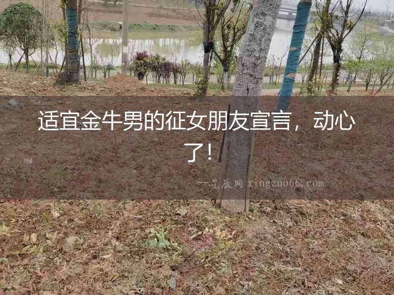 適宜金牛男的征女朋友宣言，動心了！