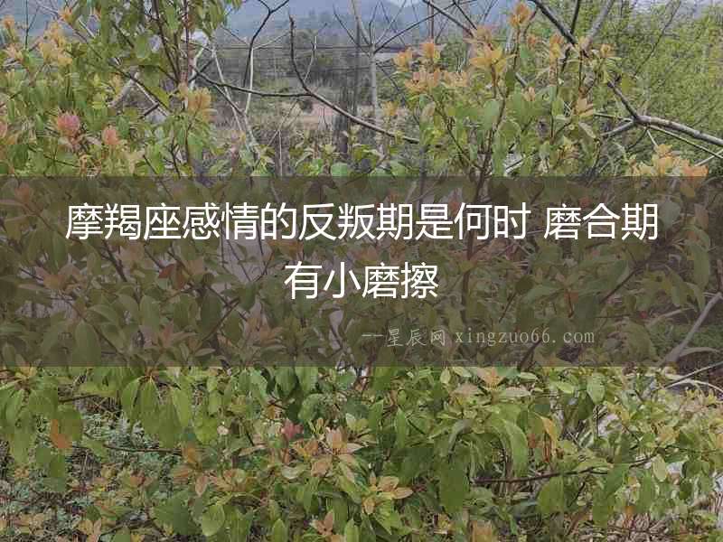 摩羯座感情的反叛期是何時 磨合期有小磨擦