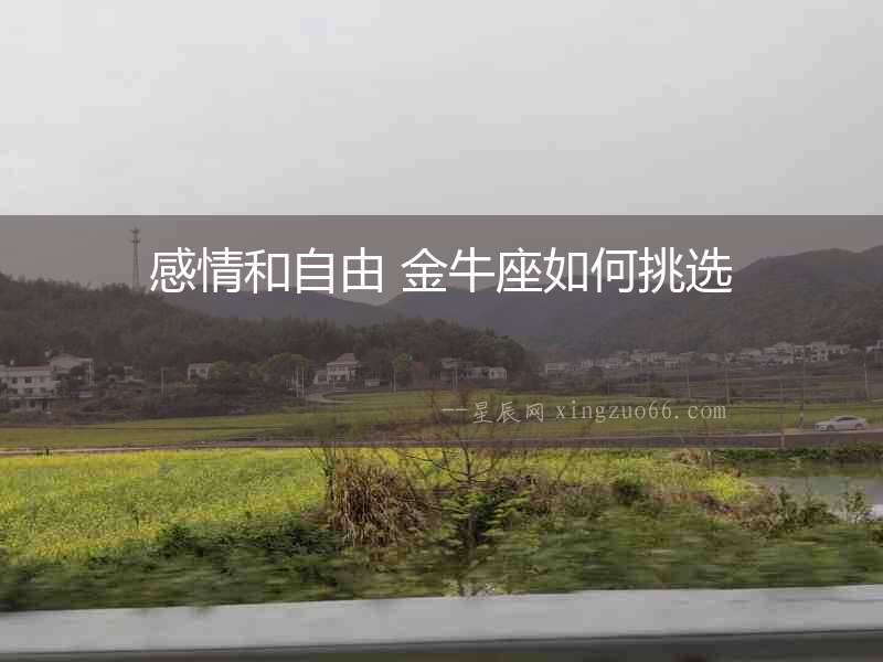 感情和自由 金牛座如何挑選
