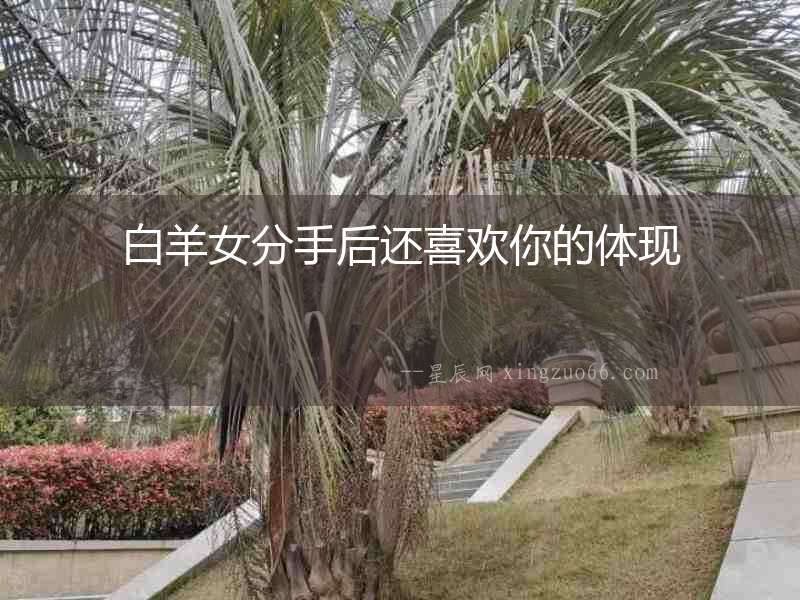 白羊女分手后還喜歡你的體現