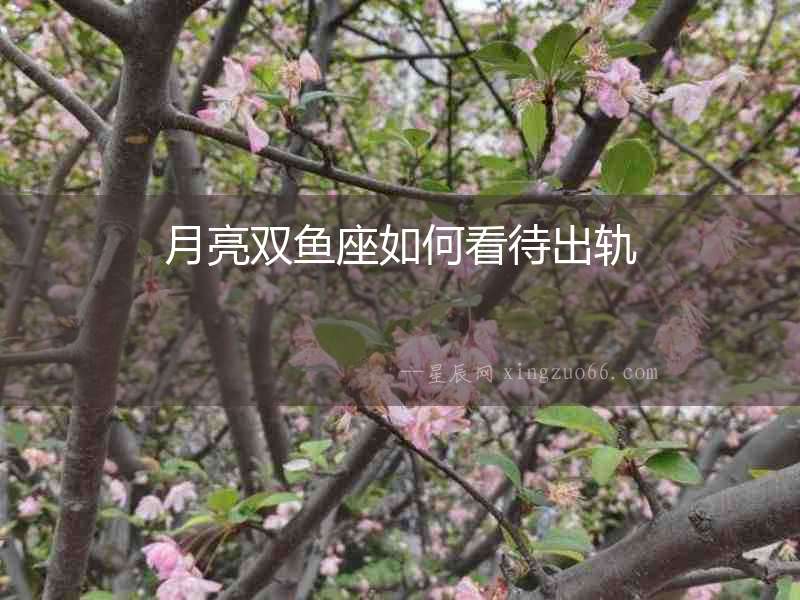 月亮雙魚(yú)座如何看待出軌