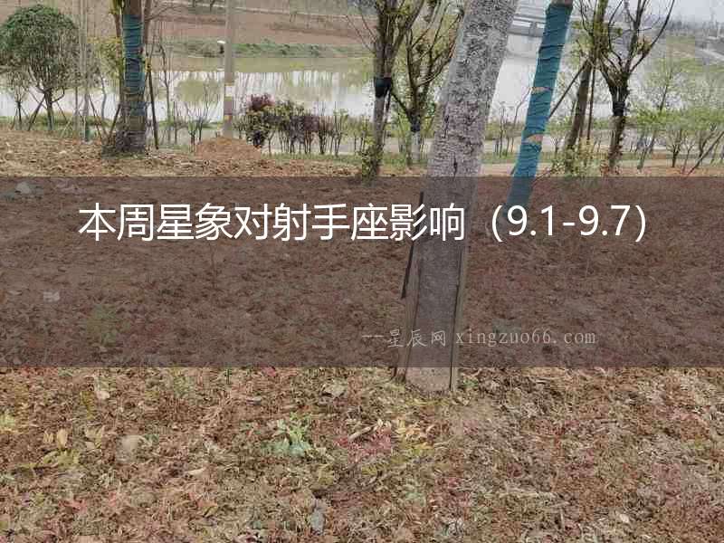 本周星象對射手座影響（9.1-9.7）