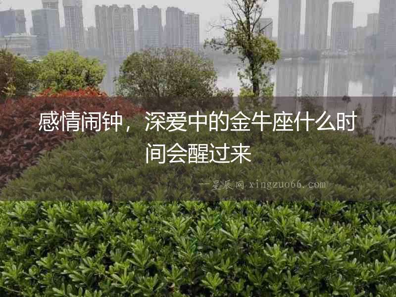 感情鬧鐘，深愛中的金牛座什么時間會醒過來