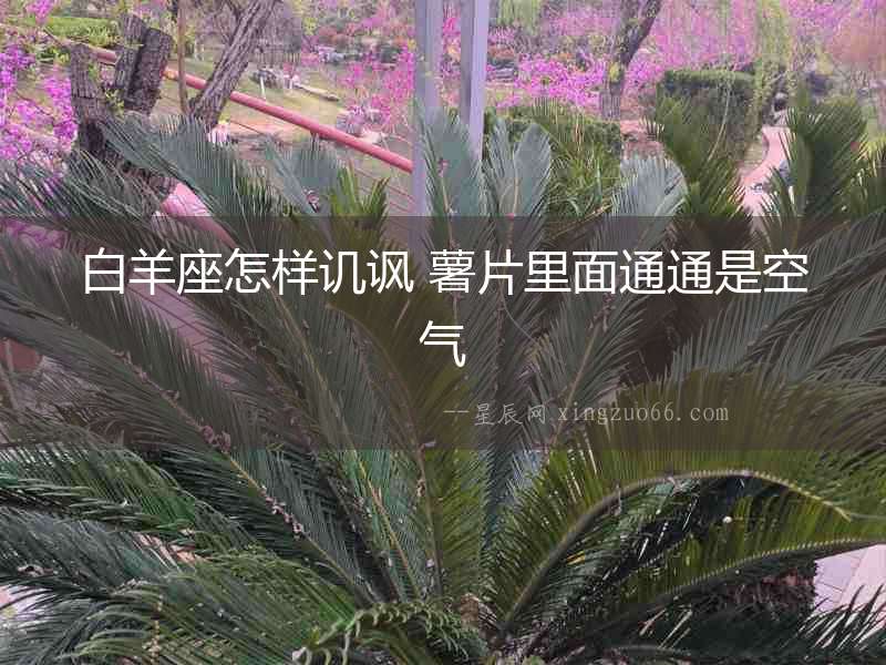 白羊座怎樣譏諷 薯片里面通通是空氣