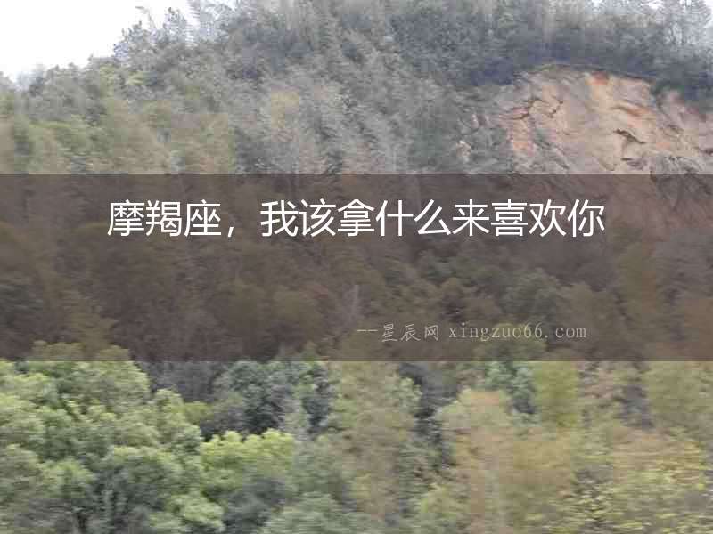 摩羯座，我該拿什么來喜歡你